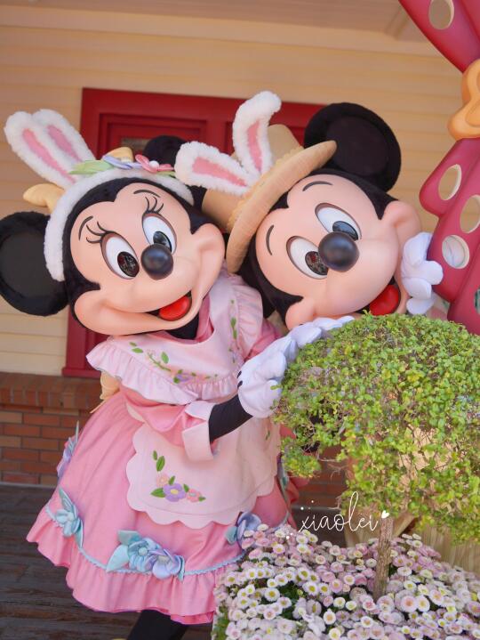 软软的兔耳朵🐰萌 ❥(ゝω・✿ฺ)