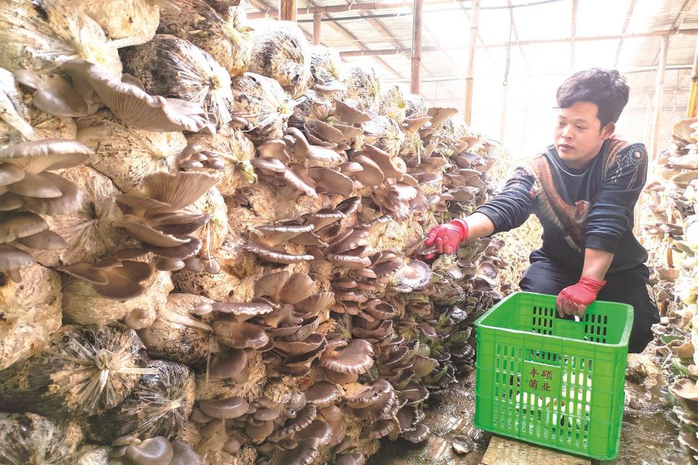 链上增值 菜香天下