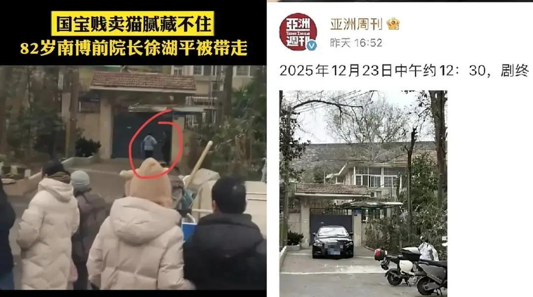 徐湖平被带走那天，南京栖霞区别墅门口突然冒出十几号人，自称“护宝”，把铁门堵得严
