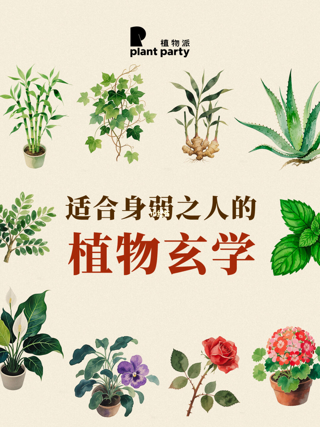 身弱之人，必养10款植物🔥