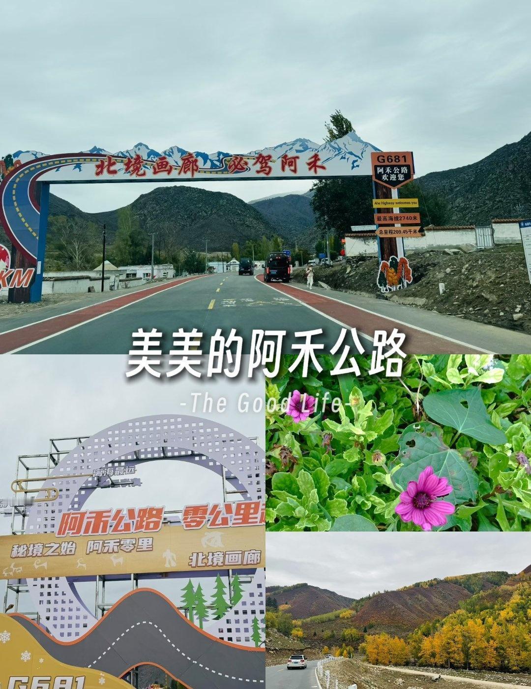 如果你问我北疆的公路有多绝，那阿禾公路一定要拥有姓名！它像一条丝带，把阿勒泰的山