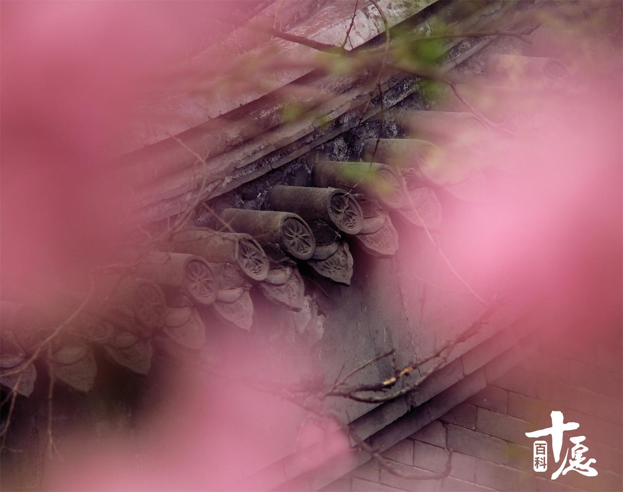 诸法的真实相，非凡夫的眼光能见到的，是观自在菩萨以深般若智慧观见的，观见五蕴