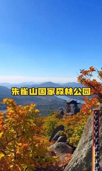 创作者赏金计划赏红叶森林公园我拍到的治愈系风景景区自驾赏自然风光赏秋户外赏秋最前