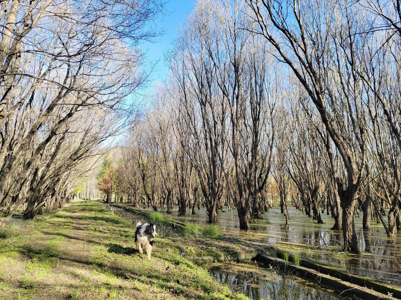 累了迷茫了，就回村吧，回村躺一阵子，等风来！过去二三十年，农村确实经历了一场