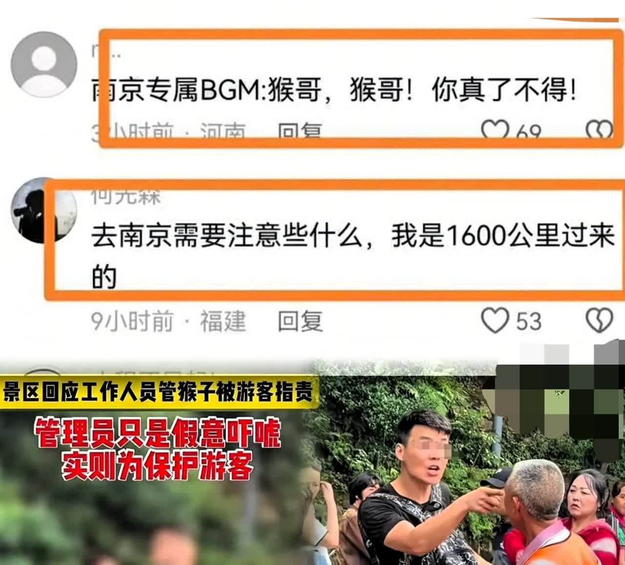 “你再打猴子，我打你！”江苏男子把老人骂哭后续！身份被扒，工作毁