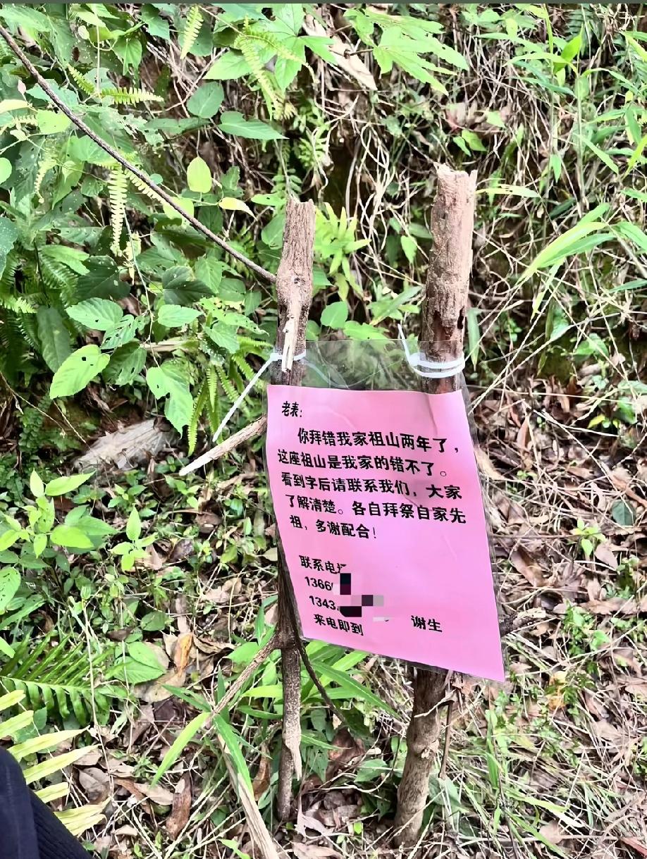 老表的天都塌了！男子清明节去拜山祭祖，不料，走到地方却发现地上放着一张打印的纸，
