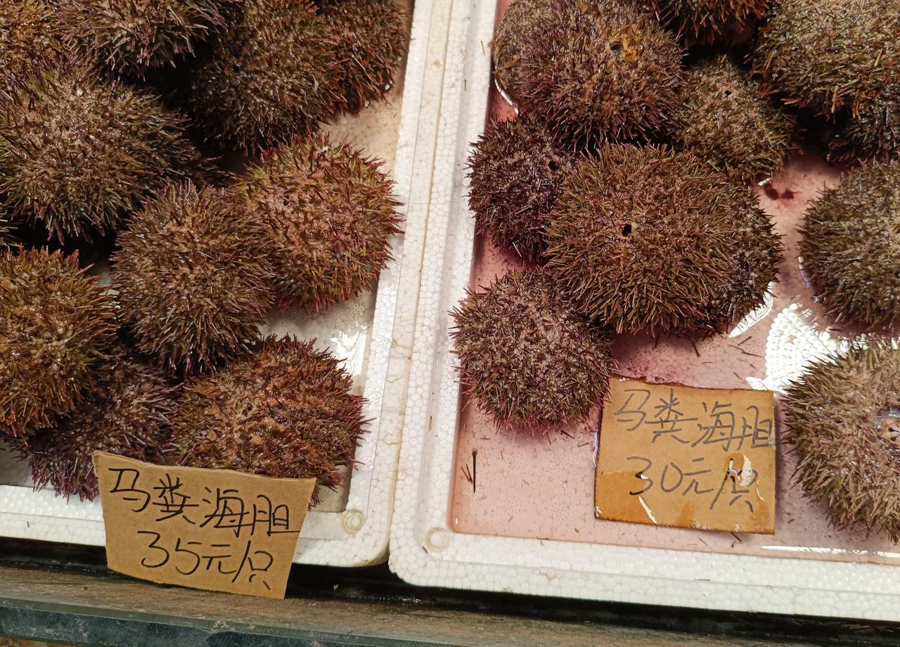 今天海泊河水产市场在青岛的名气很大，这里的海产品价格实惠种类繁多。青