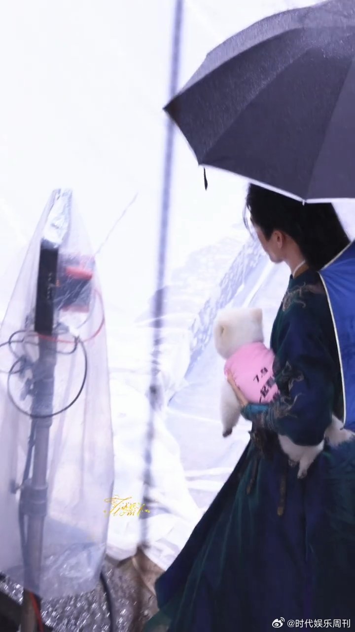孟子义孟子义的狗探班曾舜晞孟子义的狗巧克力剧宣到了曾舜晞剧组巧克力我呀，替主人