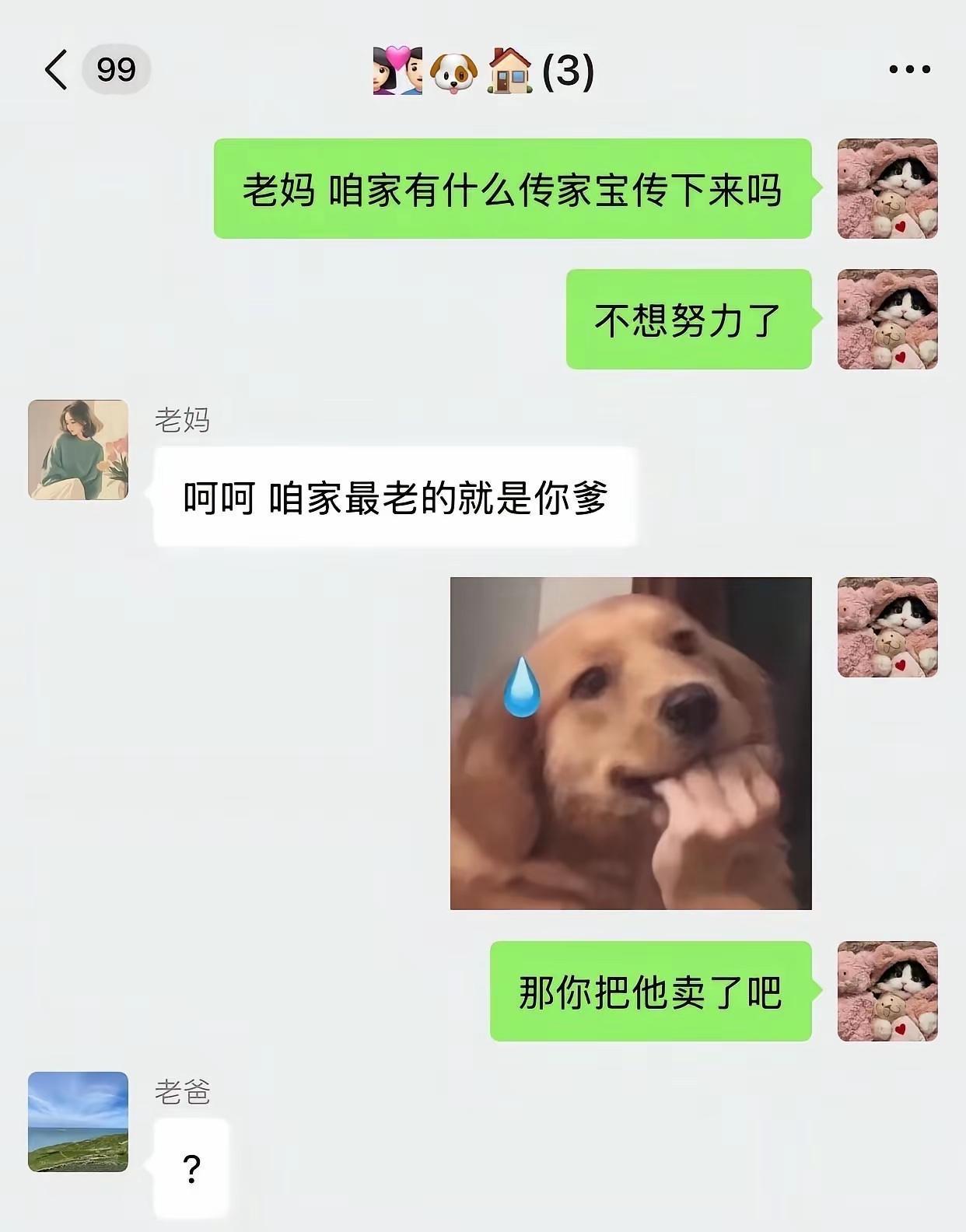 爸妈都是梗王是种什么体验！