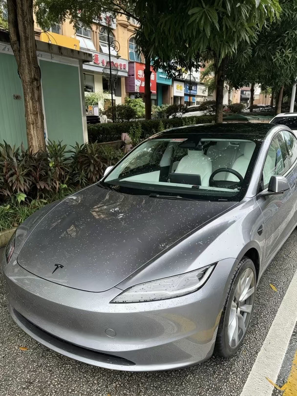 刚提！26款Model310月完整落地价清单！