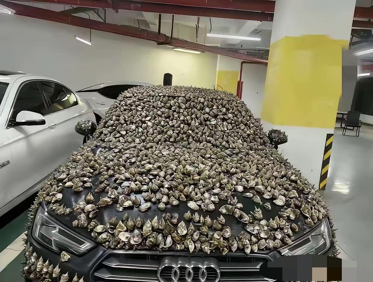 车位被长期霸占，车主一怒之下做出这样反抗。其实，遇到这种情况，直接用交管1212