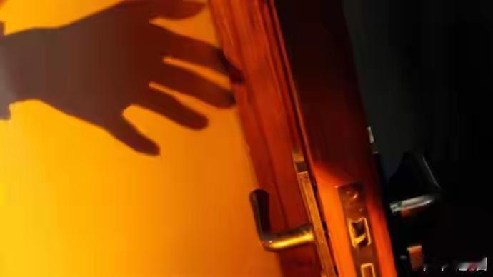 如此江洋大盗，把京东巴黎仓库洗劫一空，价值3亿多12月22日，法国警方表示在