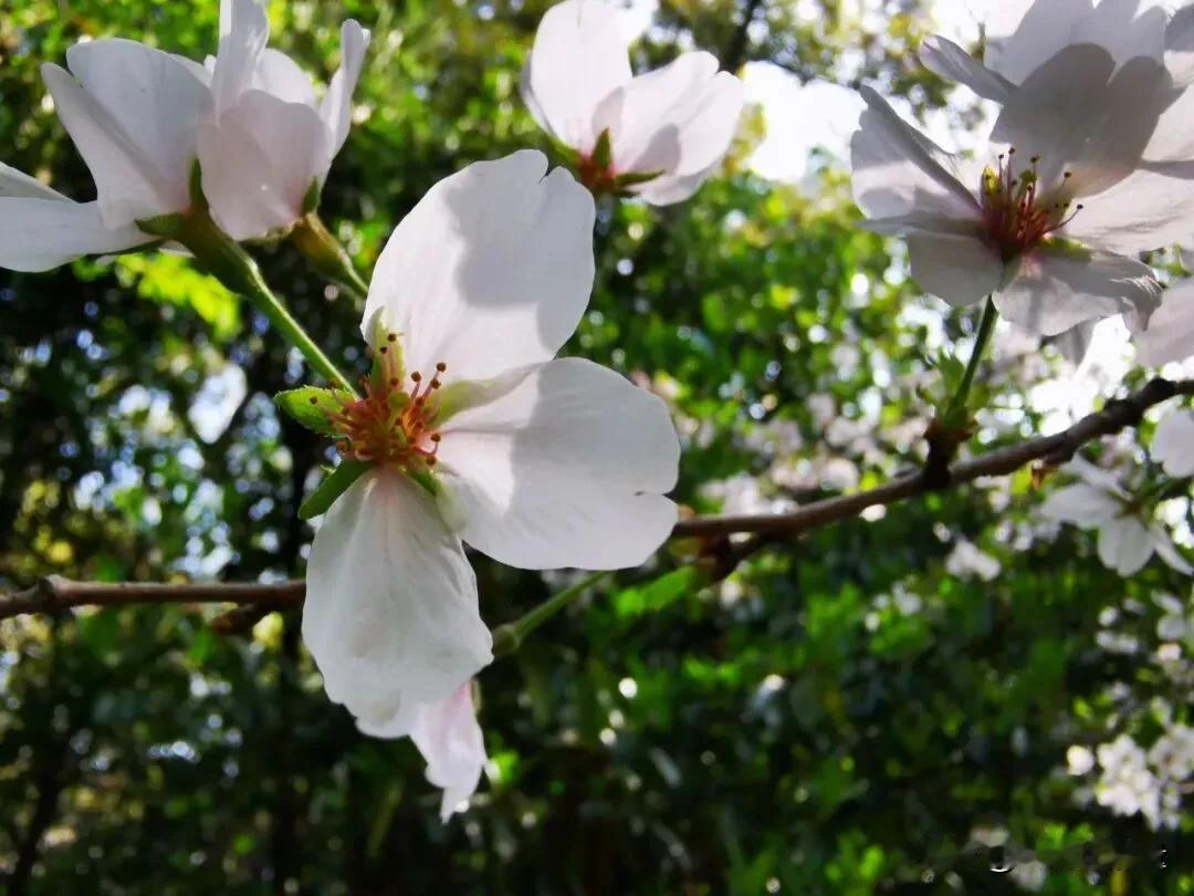 这句话，听起来有些残酷，却让无数中年人瞬间破防。我们总以为，只要攒够了钱，