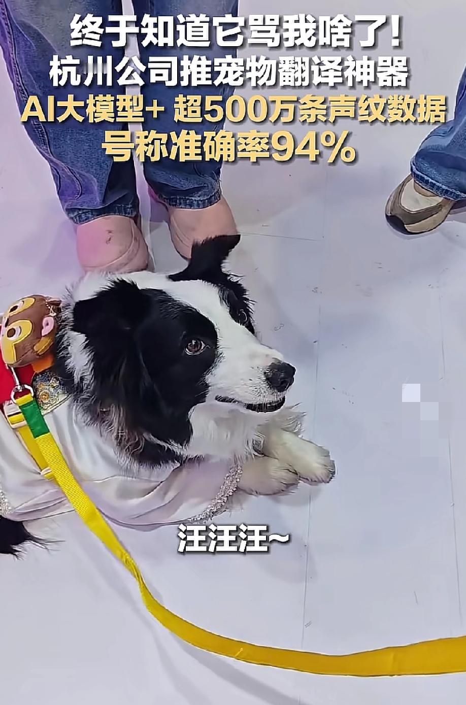 "终于知道它骂我啥了！"5月15日红星新闻报道，浙江杭州，一家科技公司推出了一款