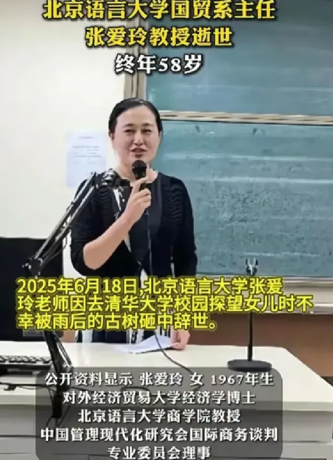 真是没有想到！五十八岁的女教授，在去清华的路上被古树砸中，不幸离世！事发