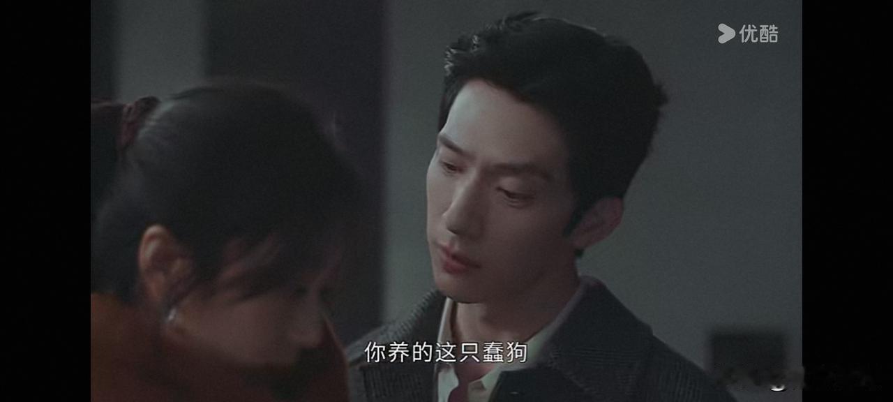 《早春晴朗》第15集预告：家里来了新成员，尚之桃给起的名字叫卢克，栾念是坚决不同