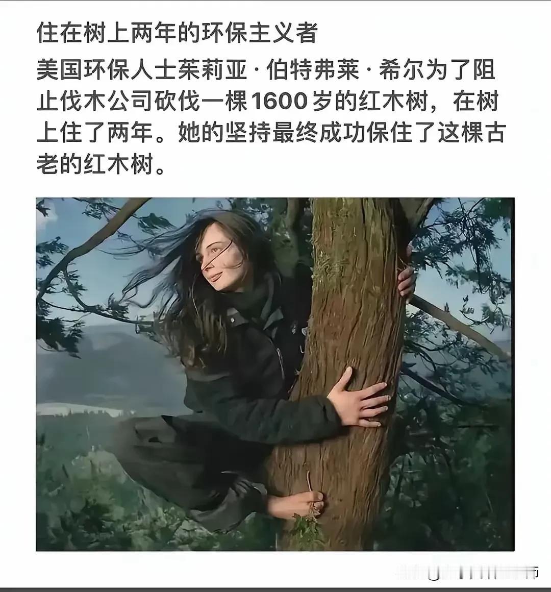 哈哈哈，把劳资给笑安逸了，21世纪的今天，居然还有人写这种弱智的鸡汤文？德国良心
