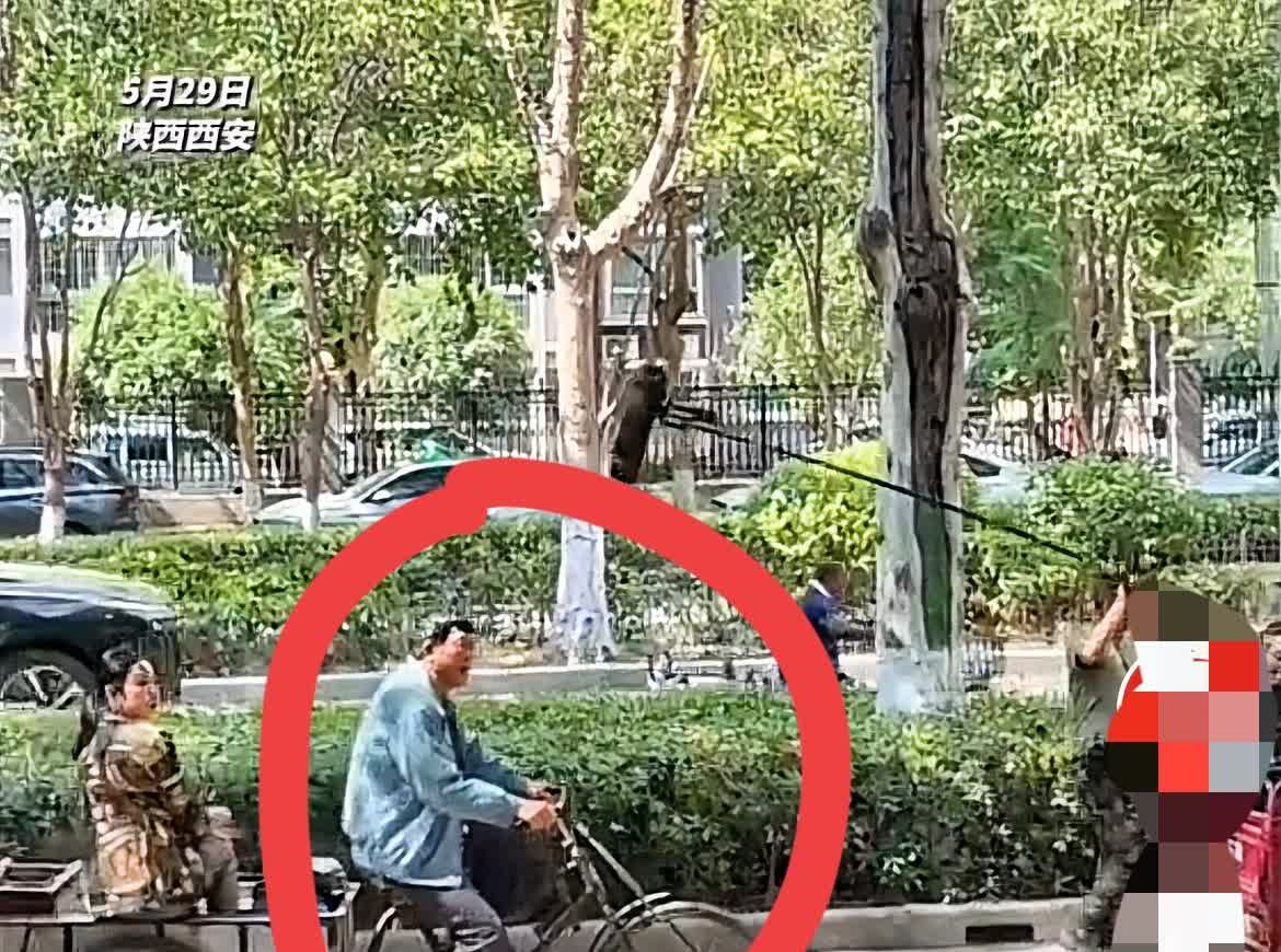 张嘉译火了！不是因为他演戏演的太好，也不是因为他做了什么见不得人的事情，而是
