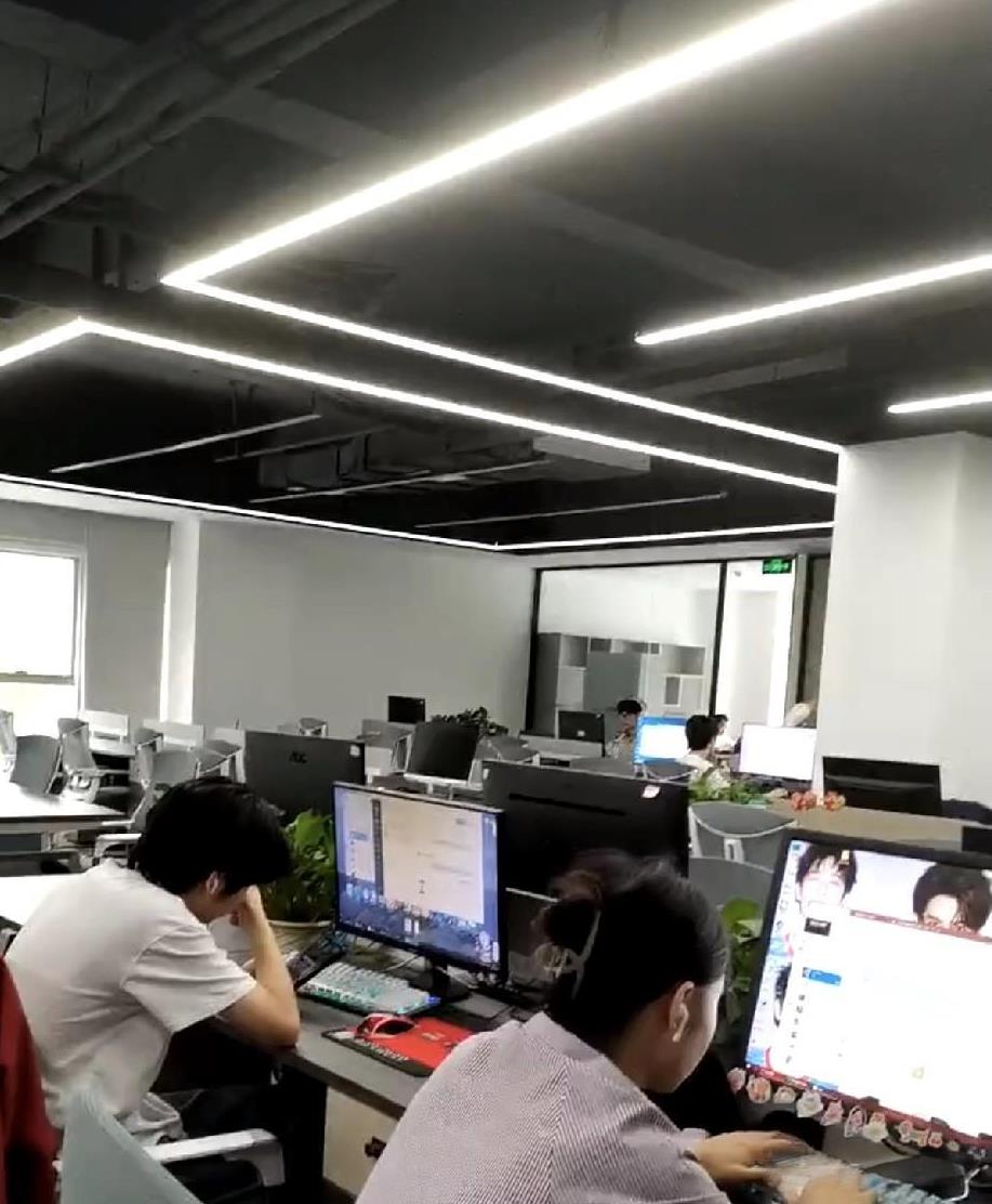 新项目刚交付，一句公司不养闲人，就把项目组新招进来的新人全都给毕业了，这些新人里