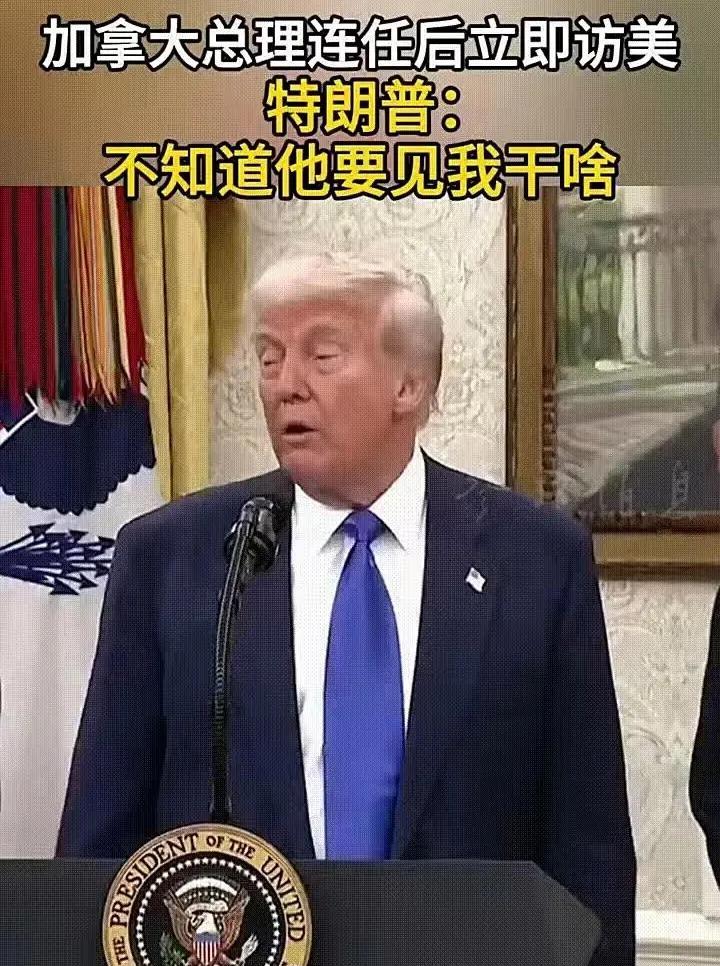 怼王特朗普！俄罗斯庆祝二战胜利，邀请特朗普，特朗普不去；龙国庆祝二战胜利，没