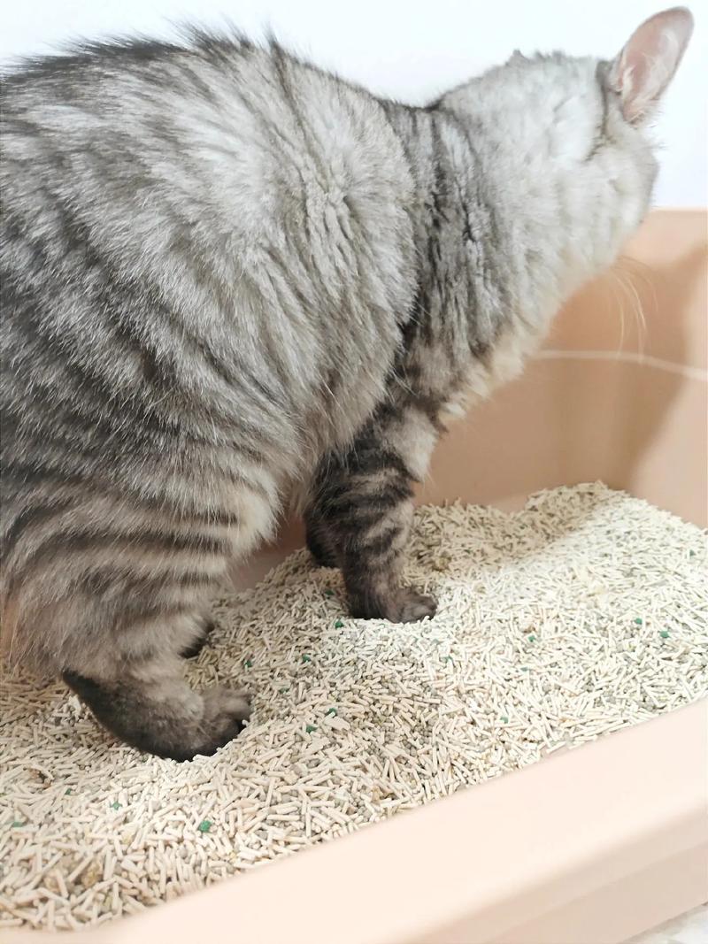 冲一次马桶，赔了十万块！楼上租客这个习惯，把楼下新房全毁了…北京昌平一栋联排