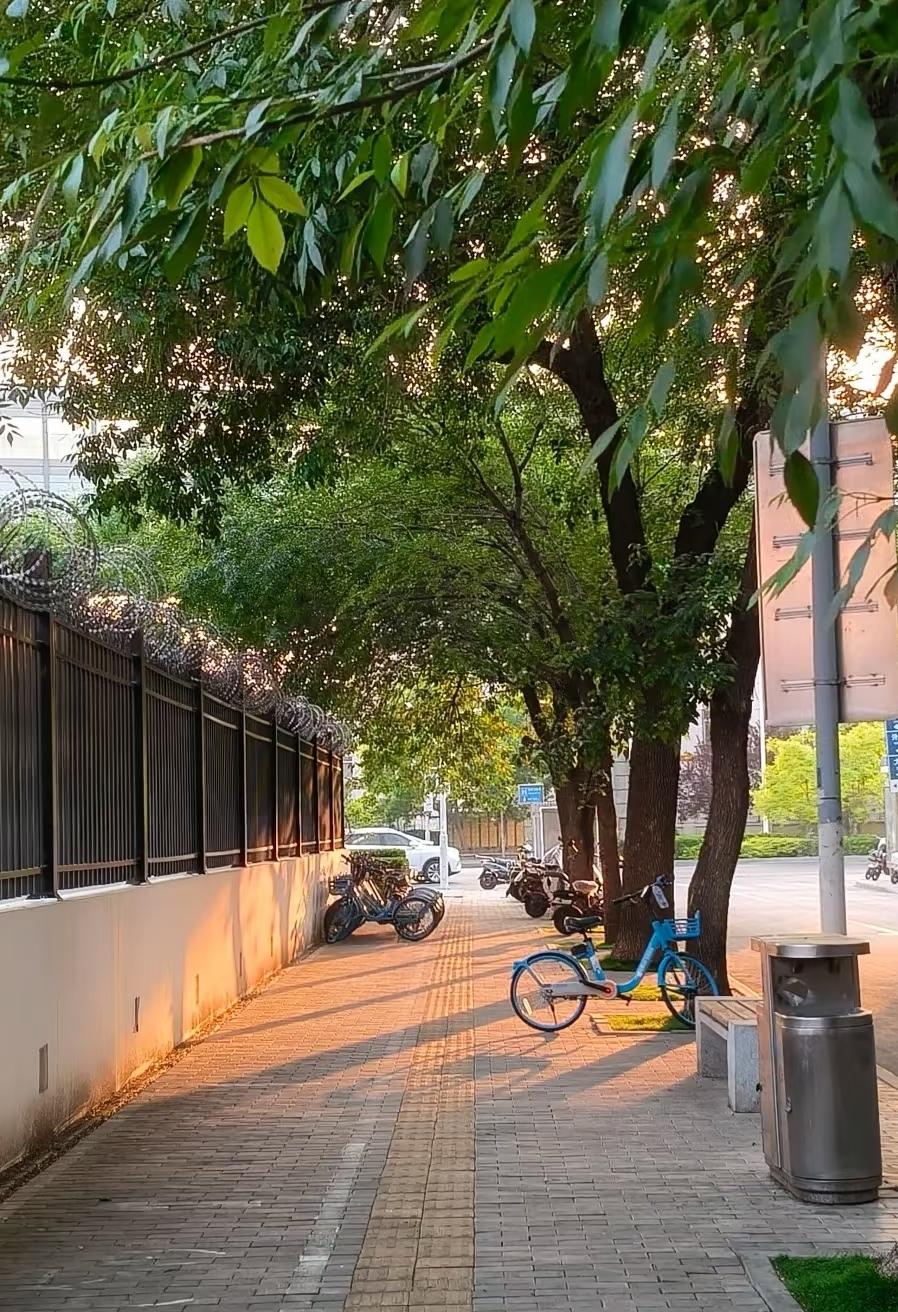 不知道你有没有发现，今年很多人嘴上喊着“请三休十三”，真正到了这三天，反而不一定