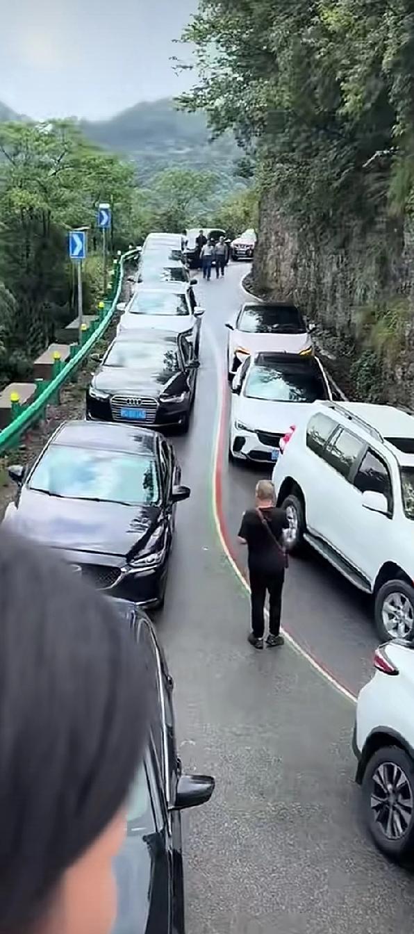 长假期真的不适合自驾游！虽说通行费是免了，但太闹心了，现在可以说各大景区爆棚，人