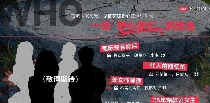 原来这个剪影真是赵露思啊，只知道虞书欣削尖了脑袋也想进