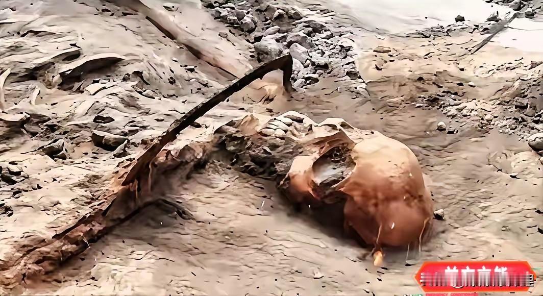 看着河南舞钢挖出来的现场图，心里真是一阵阵发紧。1068具遗骸啊，这哪里是冷