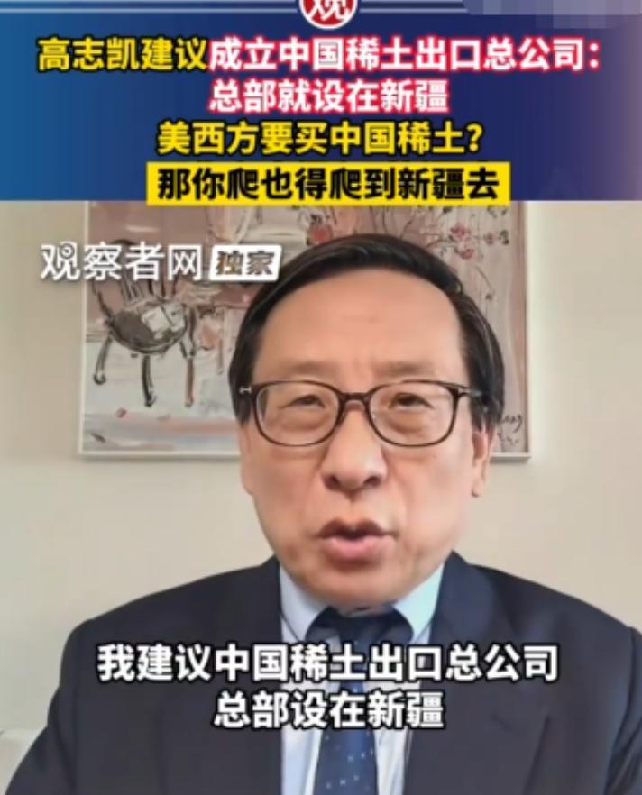高志凯教授真是神了，他给中国稀土出谋划策，想出了一个连外国人都觉得狡猾毒辣的"高