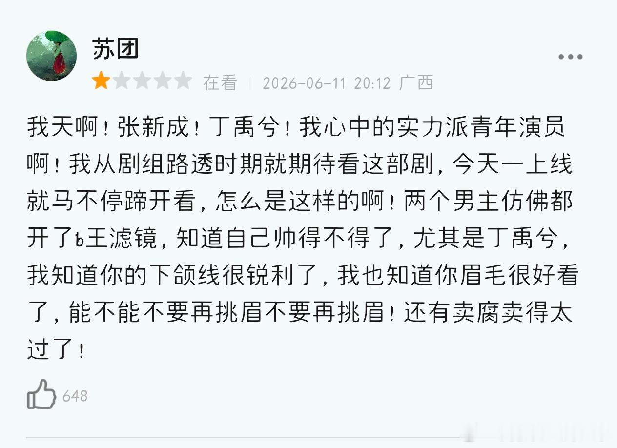 丁禹兮张新成主演的《南部档案》口碑翻车，不光豆瓣差评多，在下沉市场吐槽也蛮多的。