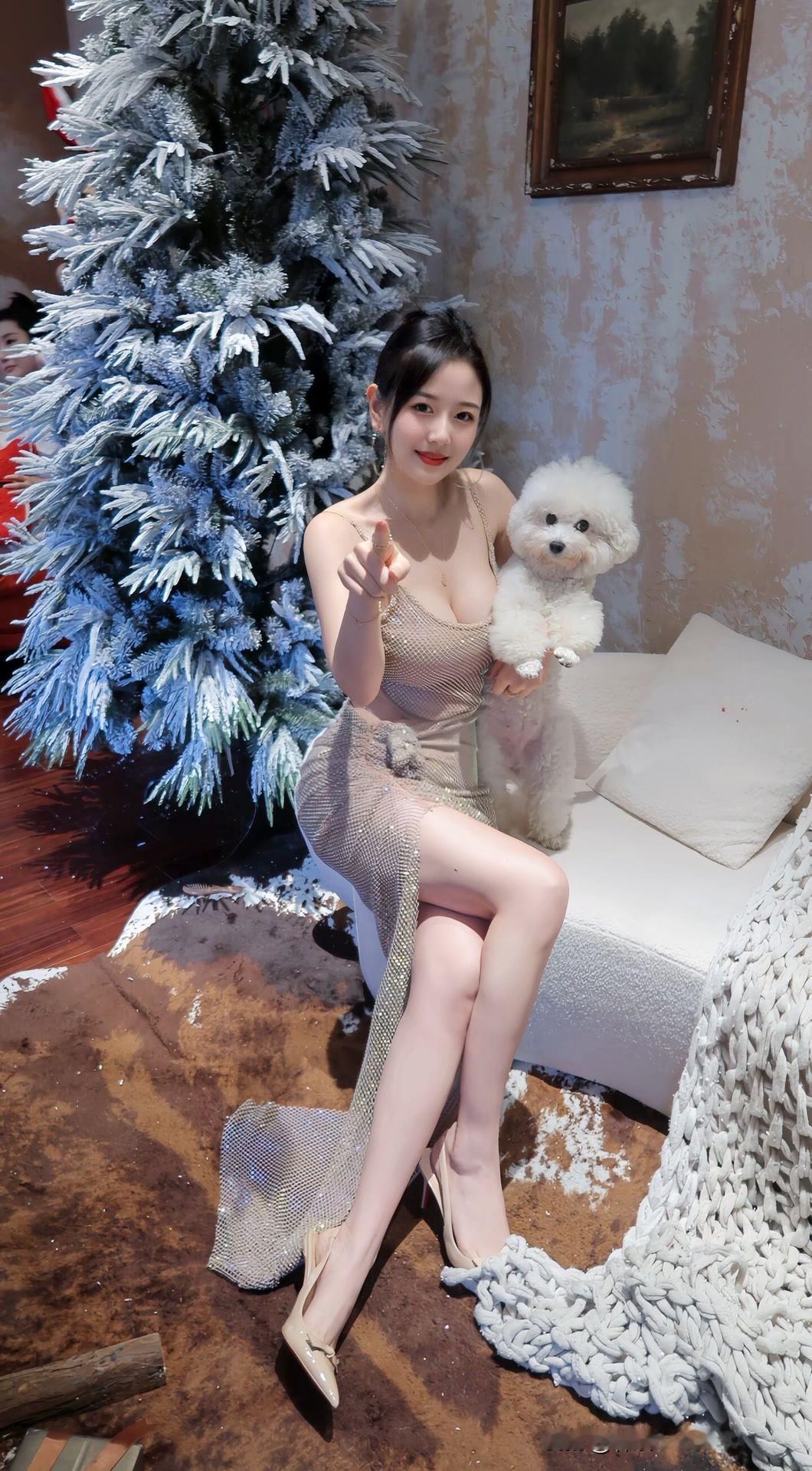 冬日圣诞氛围，与萌宠相伴的温馨时光🎄🐶