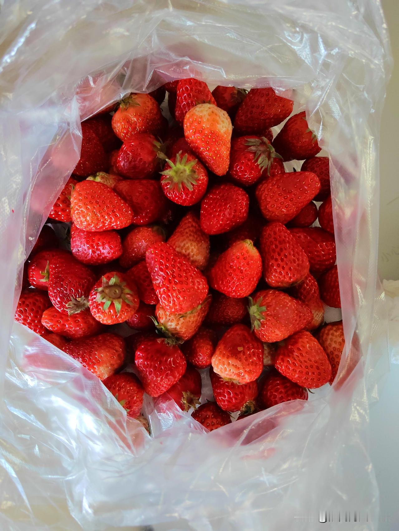 草莓，成了白菜价！见过便宜的，没见过这么便宜的！早市上，新鲜的久久草莓，