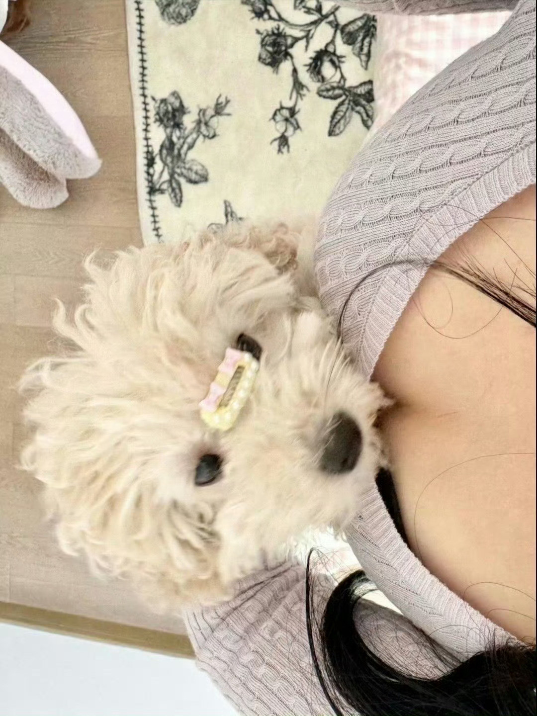 乖🐶值得奖励，不是吗​​​🤩​​​