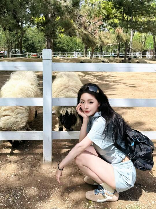 山野户外浪漫奇遇记🐑