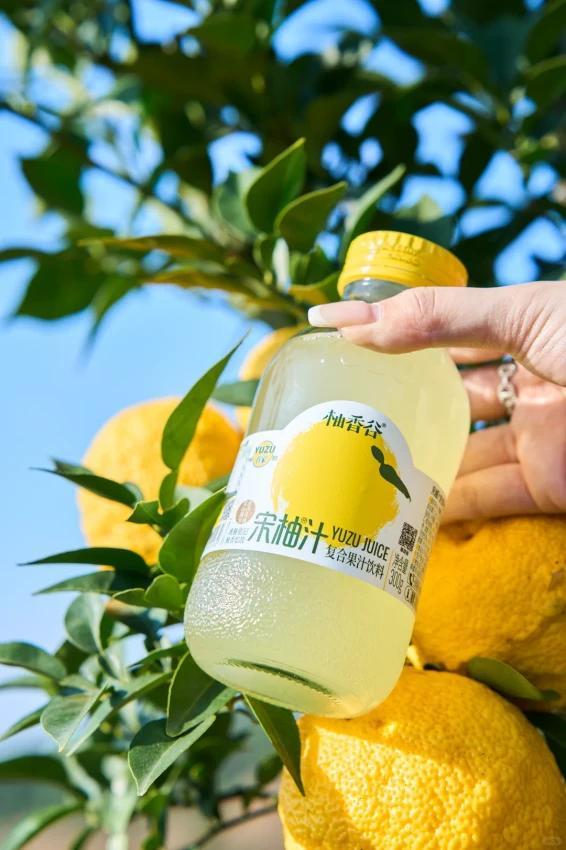 为啥“天然饮料”总翻车？中国人对“自然”的执念有多深从宋柚汁到椰子水，这些号