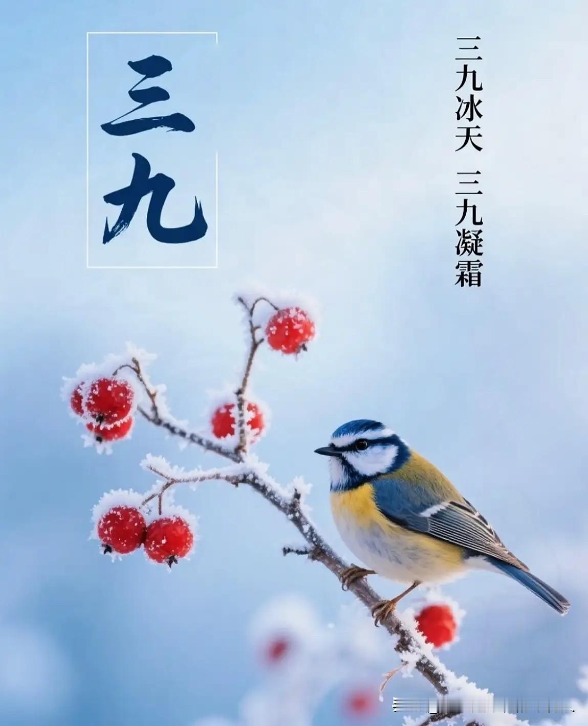 还有两天就进“三九”了！俗话说“三九在冬，薄被过冬；三九在腊，冻掉下巴”。这里的