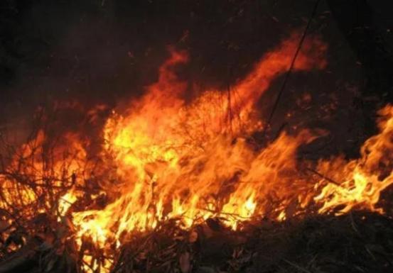 1988年，王家村2500公斤粮食被烧毁，16岁女孩仅凭一个脚印就锁定嫌疑人，令