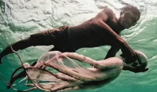 世界上唯一没有国籍的民族：一生只能待在水里，身体开始“进化”。麻烦看官老爷