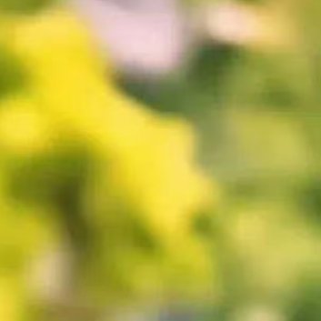 早安你若向阳，花自盛开；你若善良，天自温柔。人生的美好，从来不是偶然，而是源于