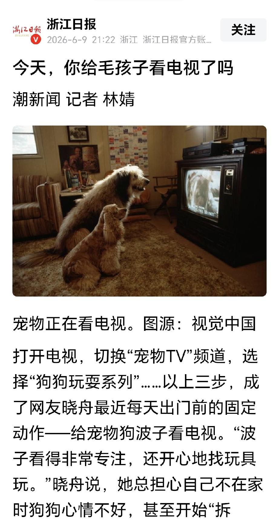 直接把人狗同类，底线究竟在哪里？不同于自媒体，你的头衔和身份决定了你的性质，向