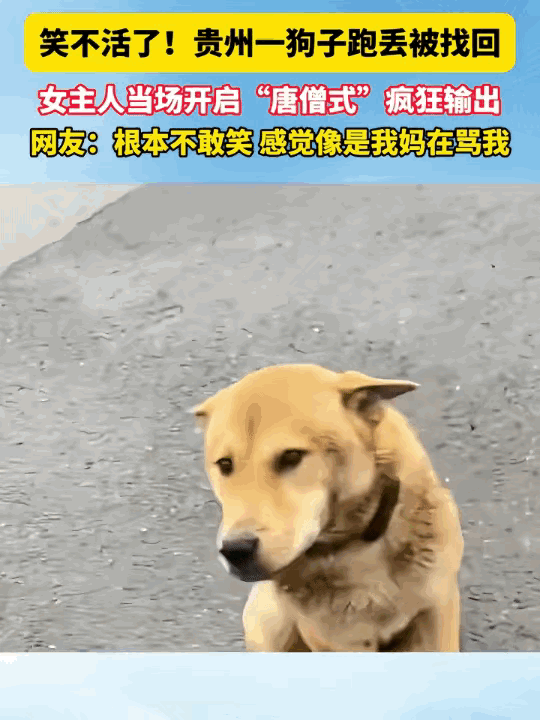 贵州一户人家，狗跑丢了，一家人找疯了，好不容易找回来，女主人当场就绷不住了。对着