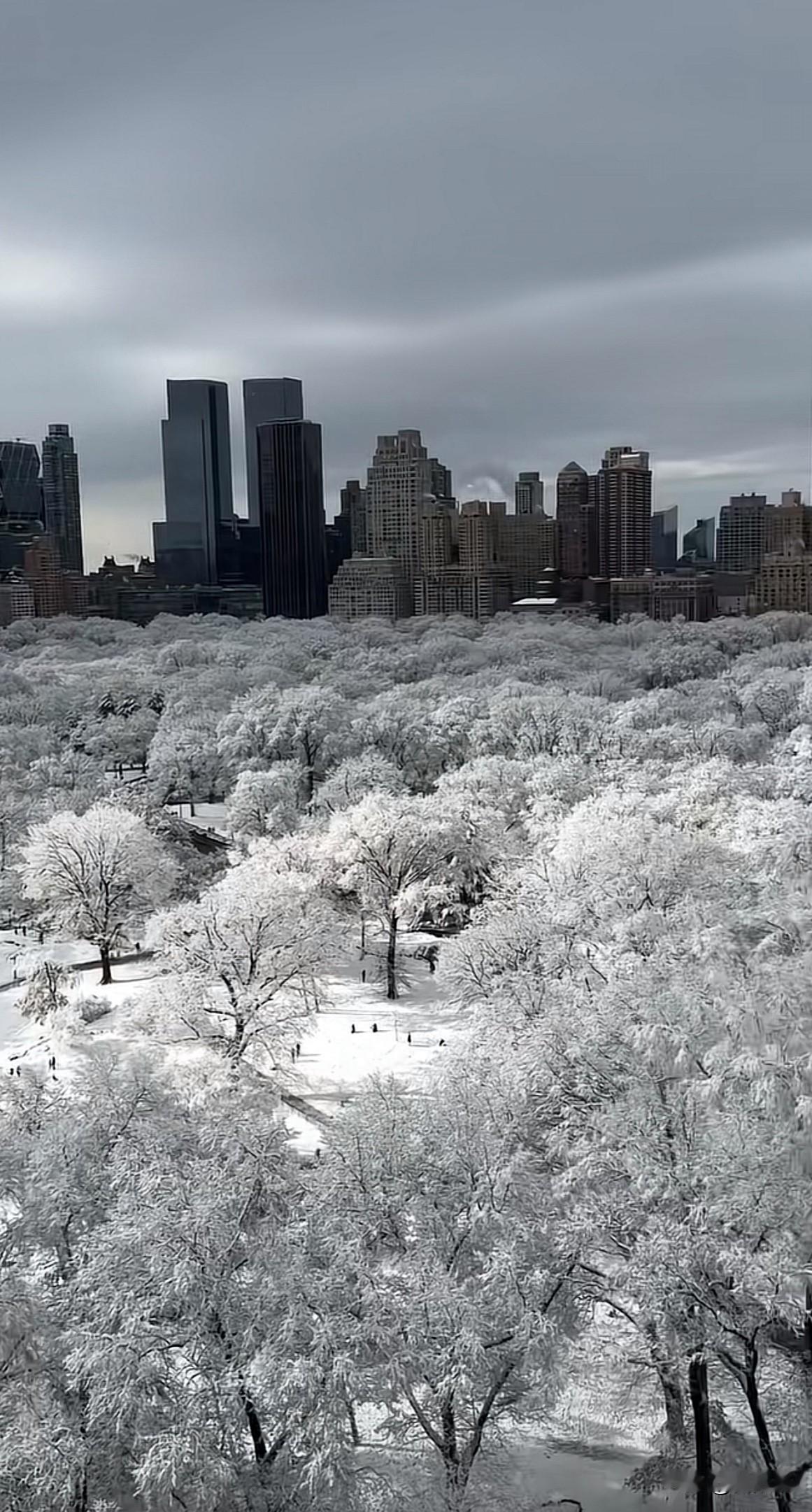 听说纽约下雪了，下雪后的纽约中央公园如此的惊艳！看过无数次这座全球魔都，这雪后的