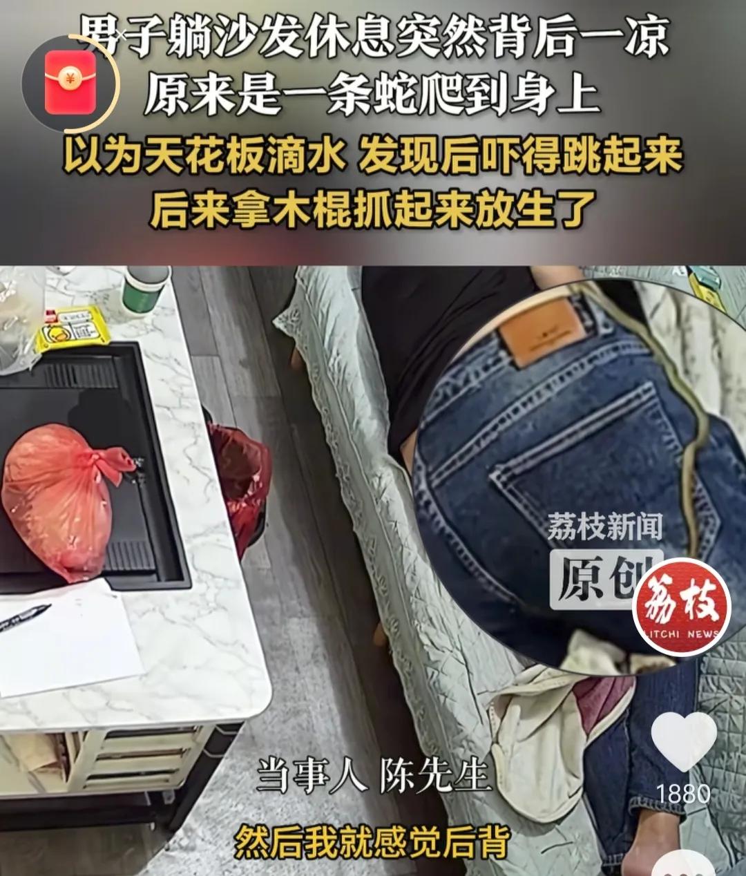 福建漳州的陈先生有一个教训，足以让他记一辈子。他在家里，沙发上睡着了，做梦的时