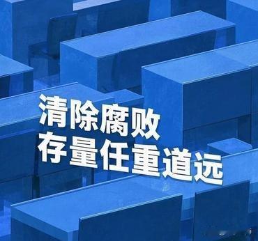 “中纪委全会提出：“以更高标准更实举措推进全面从严治党”。全会释放出党中央反