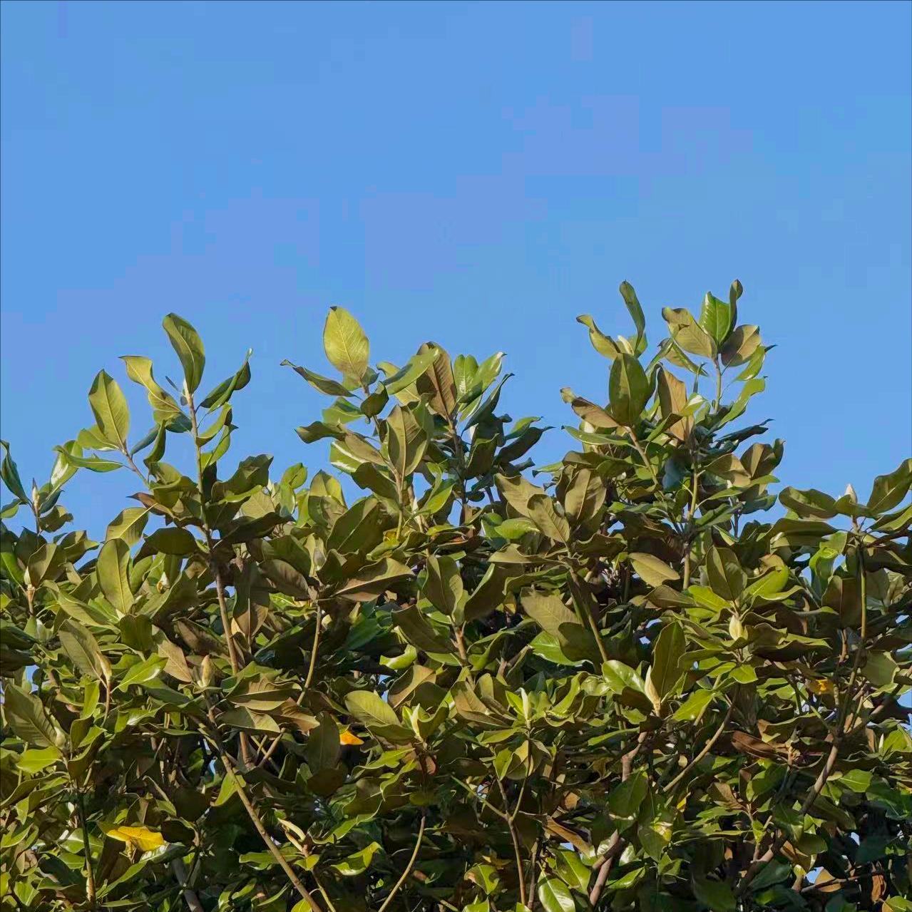 今晚  内蒙古：执纪审查这人 4月29日晚上，该地执纪审查这人，为今年54