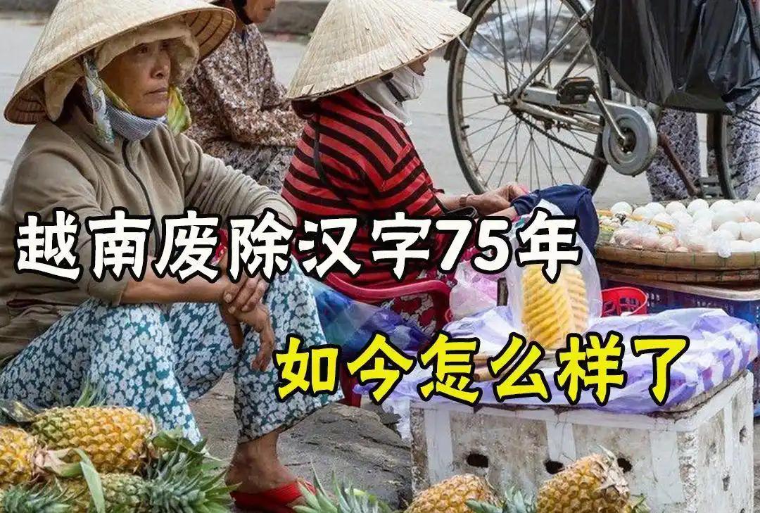 轰轰烈烈搞了几十年的废除汉字运动，越南废除了汉字、韩国废除了汉字、日本也废除了汉
