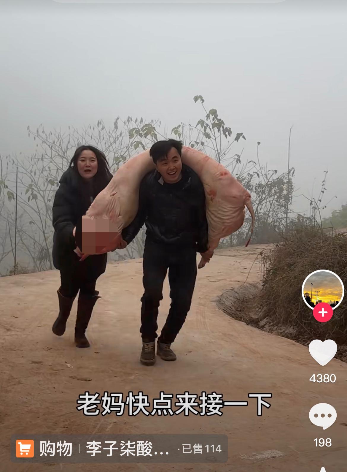 徐三娃真不错，给丈母娘扛了半扇猪肉，做香肠腊肉！昨天，农村四哥家刨猪汤，小英