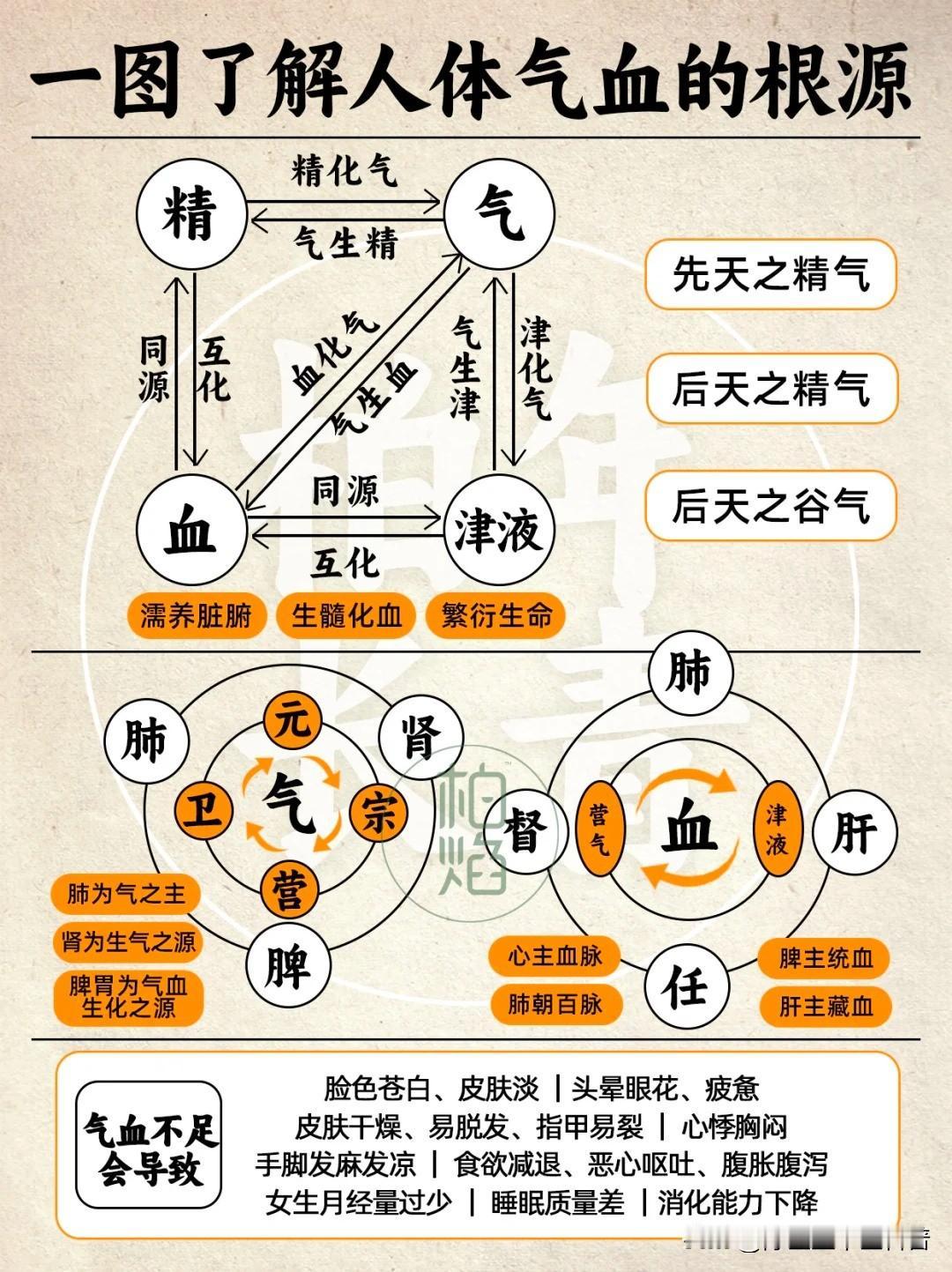 一图看懂人体气血形成及作用㊙️气血与五脏正式确诊为健康人气、血是构成人体