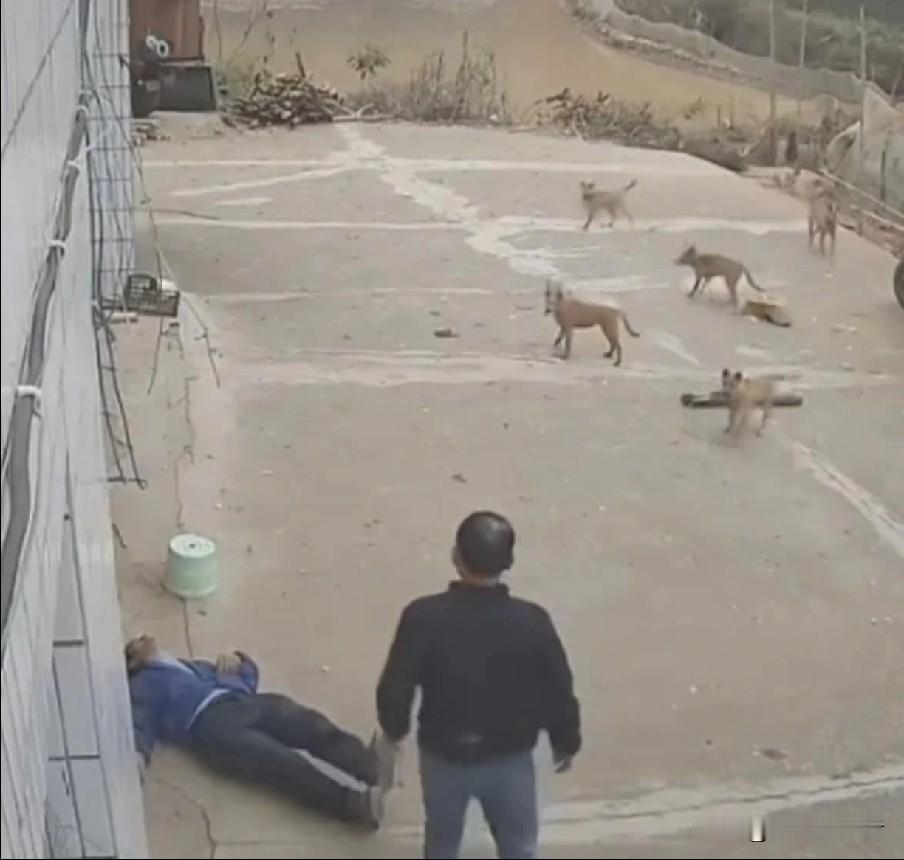 最新后续来了，江西残疾男子在家门口被打事件，这事终于搞清楚了，因为已证实在冲